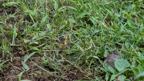 PXL_20250808_235705517