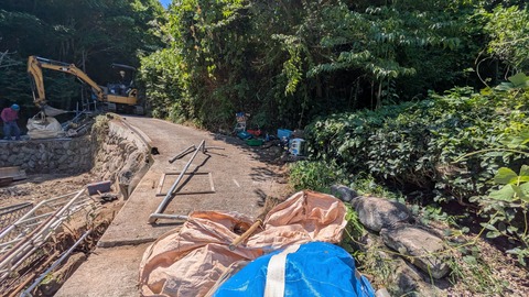 PXL_20250724_042204597