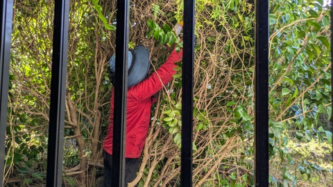 PXL_20250726_222945928