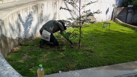 PXL_20250808_232710394