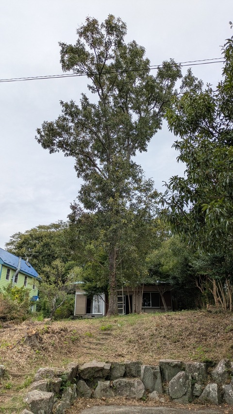 PXL_20250920_011321814