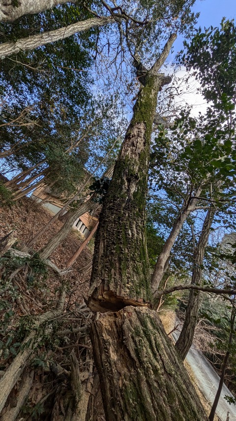 PXL_20250103_020157710