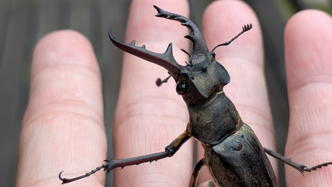 PXL_20250813_223937022