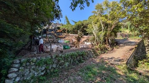 PXL_20250724_041220343