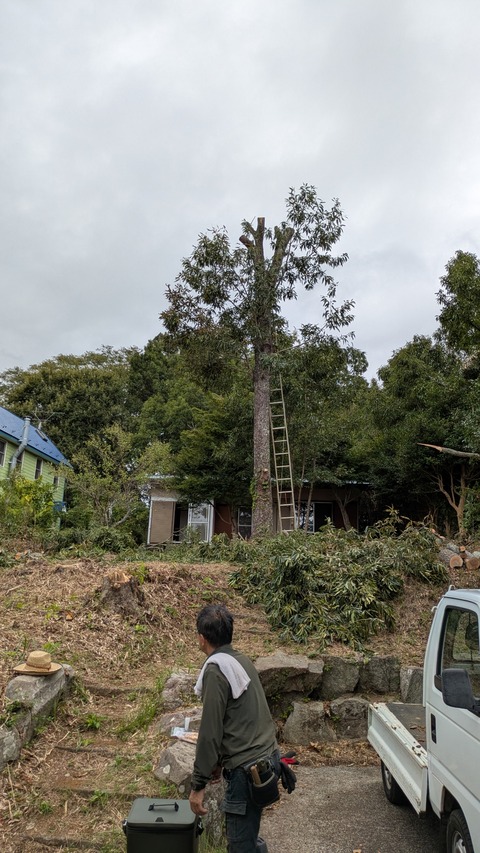 PXL_20250920_040146115