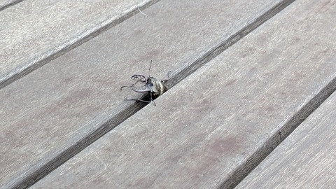 PXL_20250813_223842656