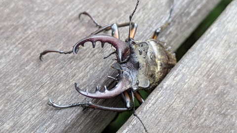 PXL_20250813_223848414