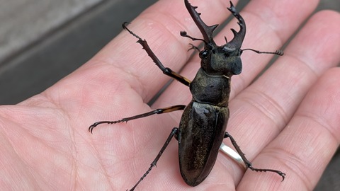 PXL_20250813_223905537