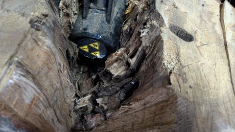 PXL_20251109_070536092