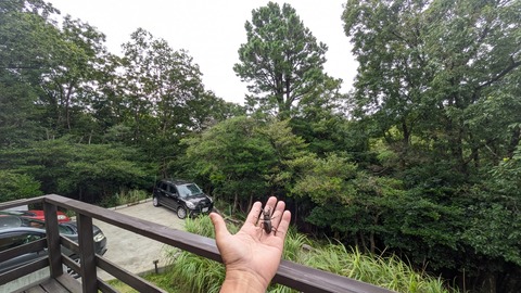 PXL_20250813_224001136