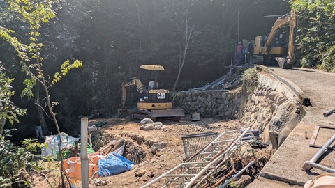 PXL_20250724_041159771