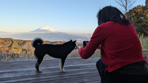 PXL_20250113_223336769