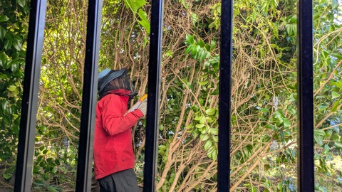 PXL_20250726_222904030