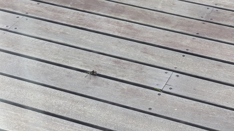 PXL_20250813_223823211