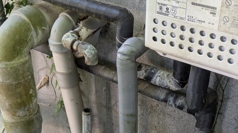 PXL_20250908_054907944