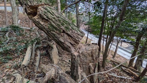 PXL_20250103_020152201