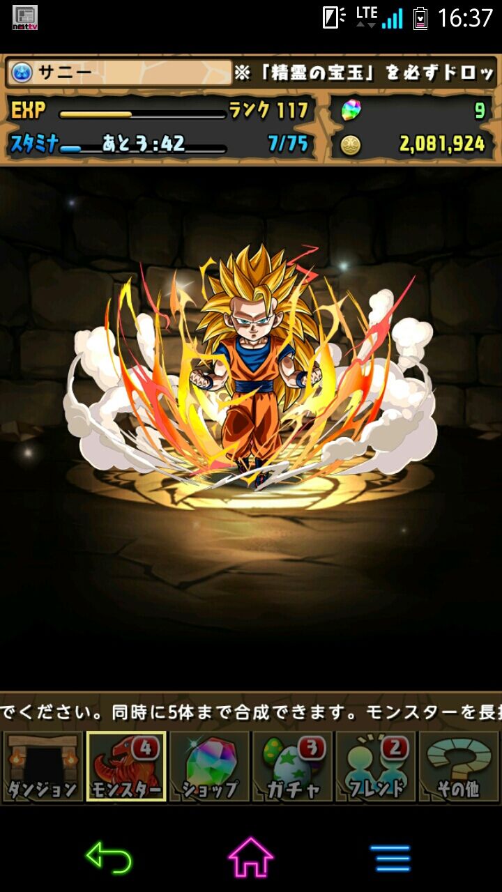 パズドラの記録 サニーの思いで記録