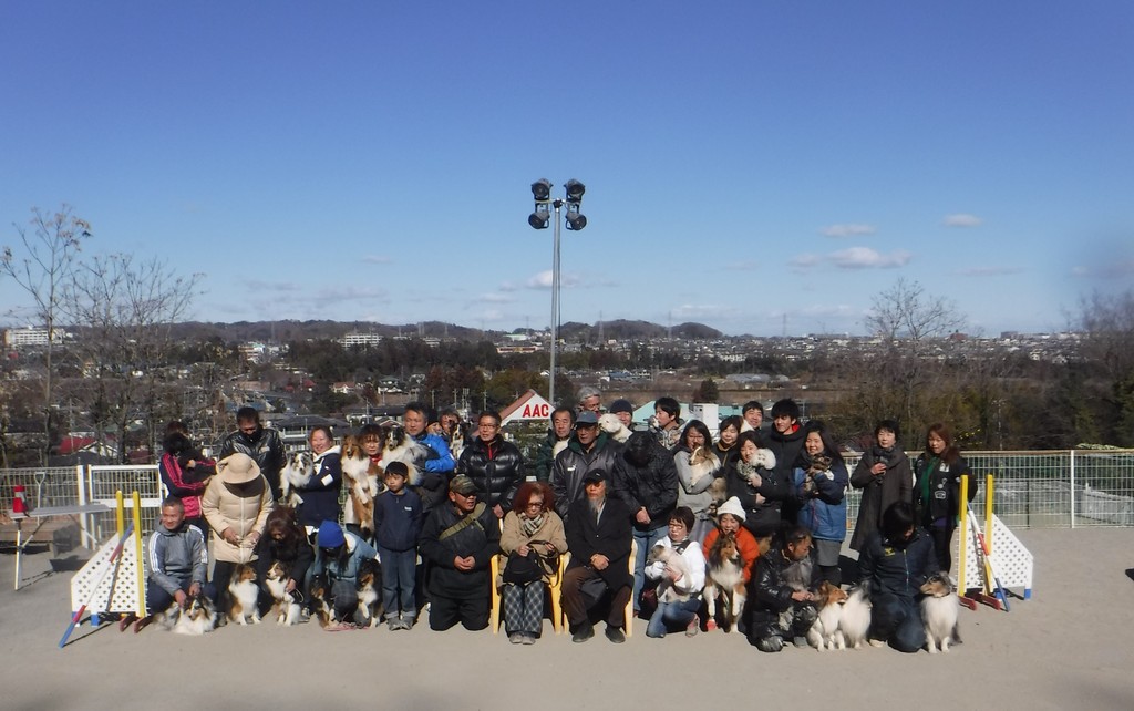 Jcc東京むさしの支部アジリティ体験教室 Aac 尾も白い奴等