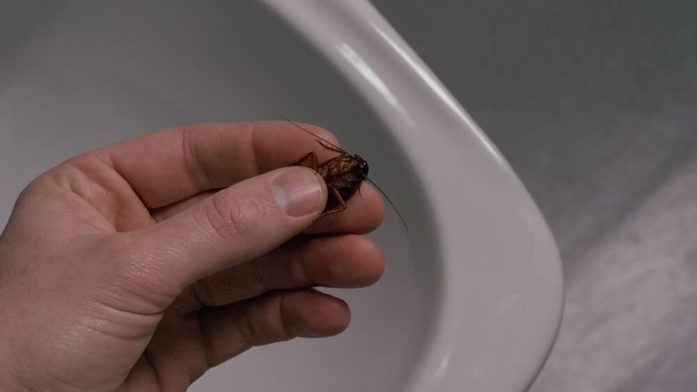 レビュー Xファイル シーズン3 第12話 害虫 X File課 分室