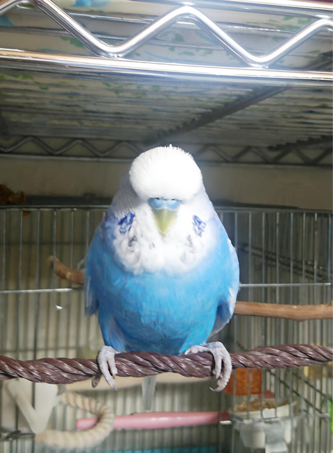 Polish_20221120_211246517