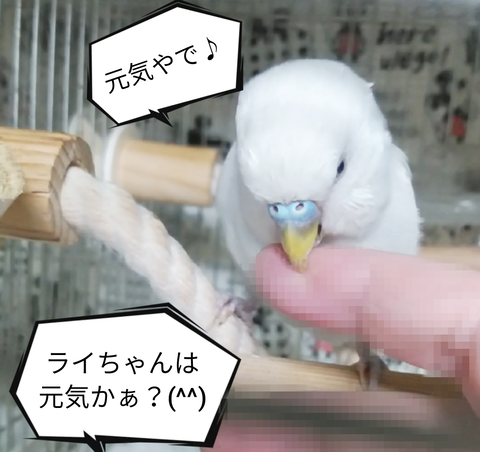 Point Blur_20231121_202352