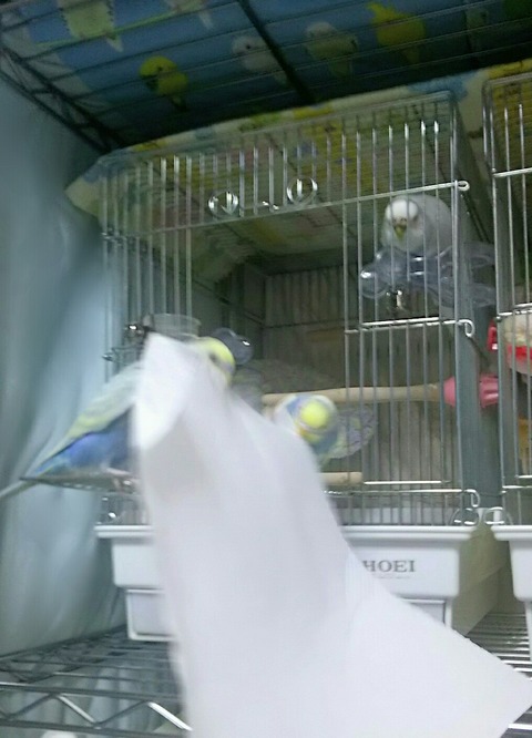 Point Blur_20190930_143437