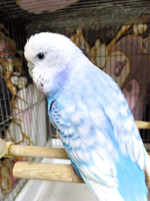 Polish_20250512_204640846