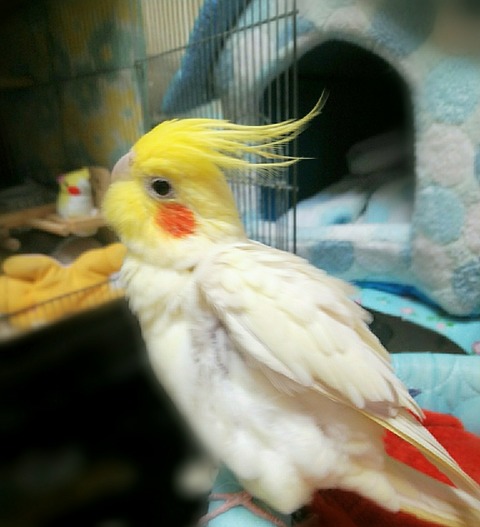 Point Blur_20200221_142846