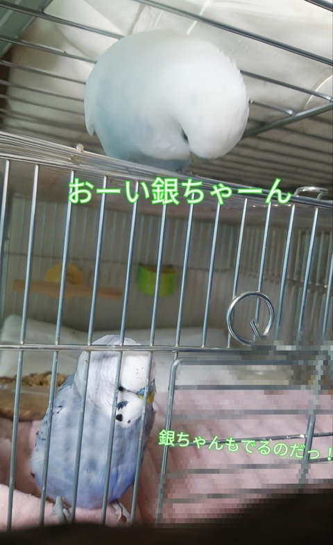 Point Blur_20230503_175619
