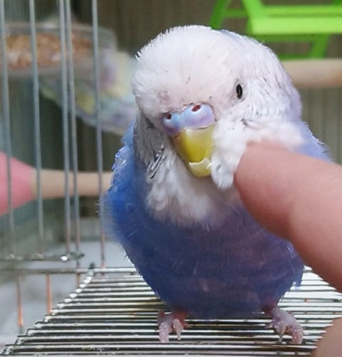 Point Blur_20190430_164105