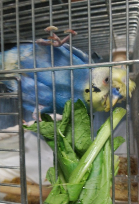 Polish_20231017_022936611