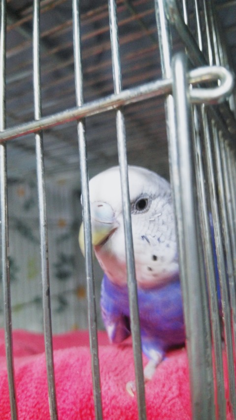 Polish_20230621_230255671