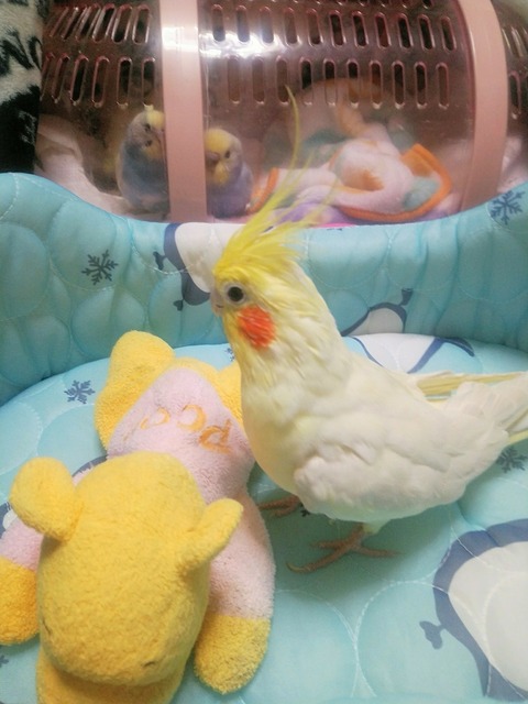 20190627_120352