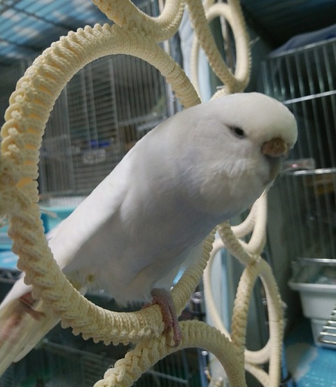Point Blur_20200728_215022