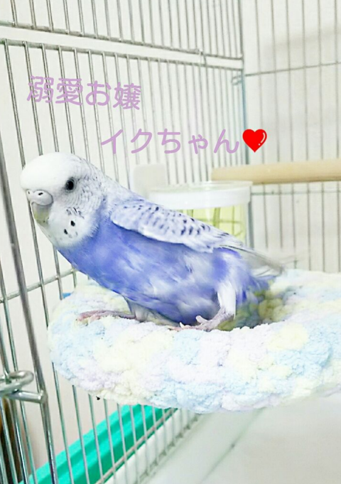 Polish_20250715_020654501
