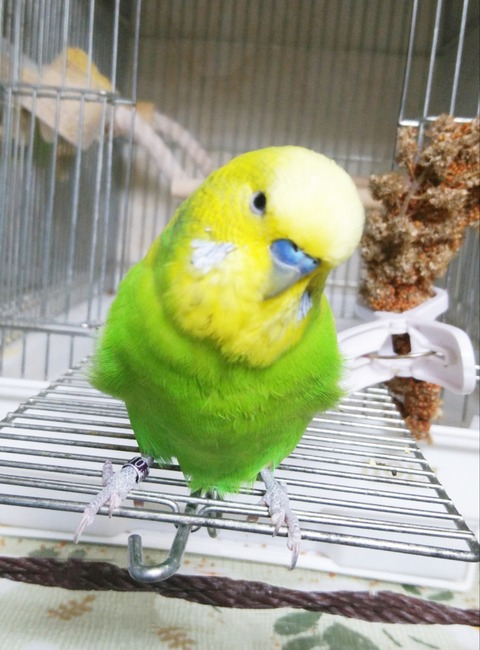 Polish_20230429_112716214