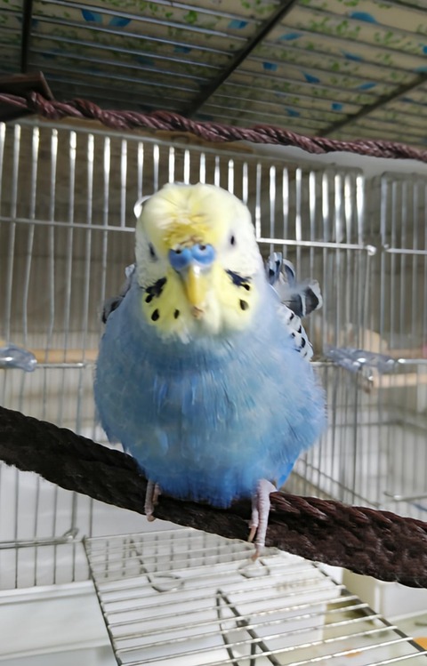 Polish_20230329_120529829