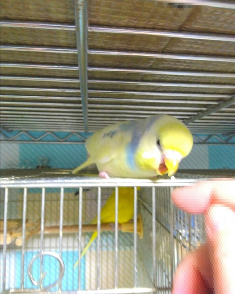 Point Blur_20250504_195017