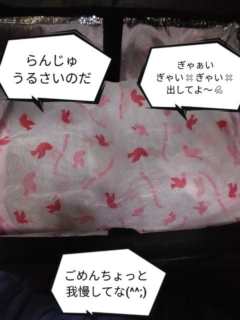 Polish_20231228_101150396