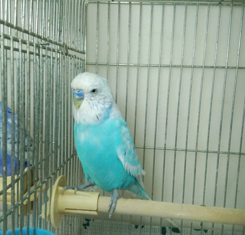 Polish_20221217_043555269