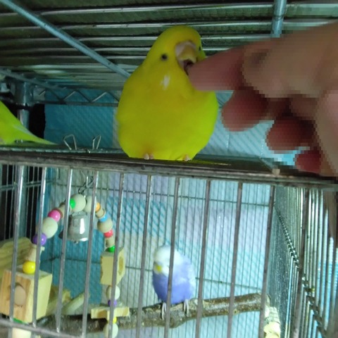 Point Blur_20250323_210212