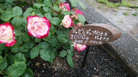 1746878564460