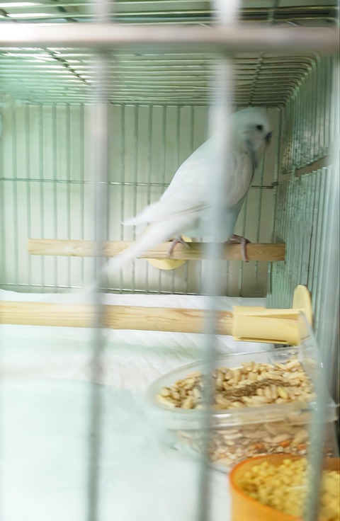 Polish_20230503_143525026