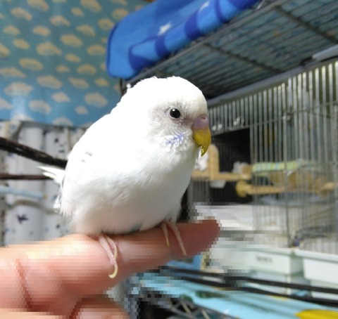 Point Blur_20251020_132744