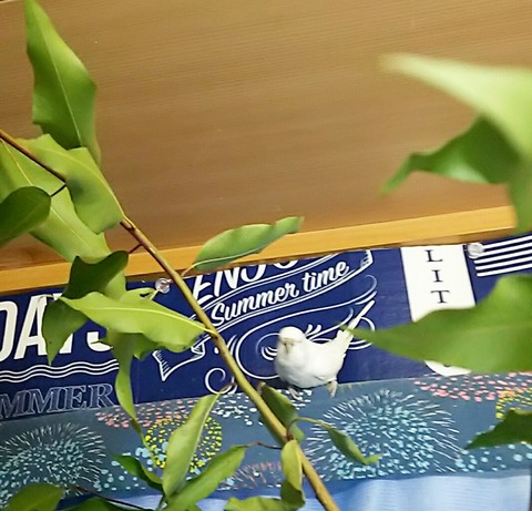 Polish_20210725_131226227
