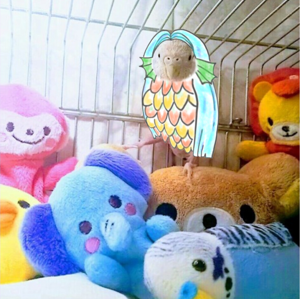 Canon - インコのそら A570g.jpg