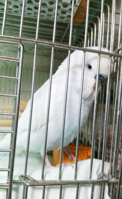 Polish_20230503_143806412