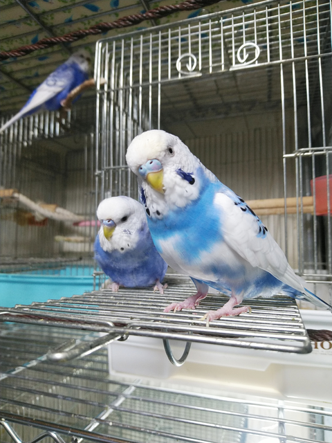 Polish_20220918_172313129