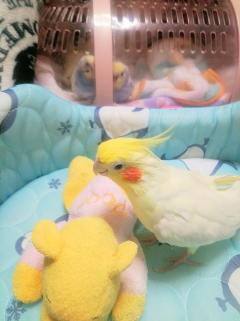20190627_120340