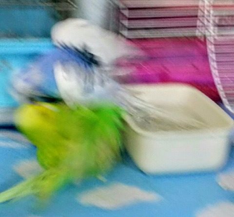 Point Blur_20200630_200532
